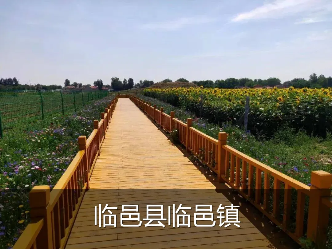 临邑县临邑镇