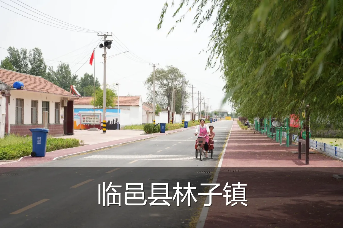 临邑县林子镇