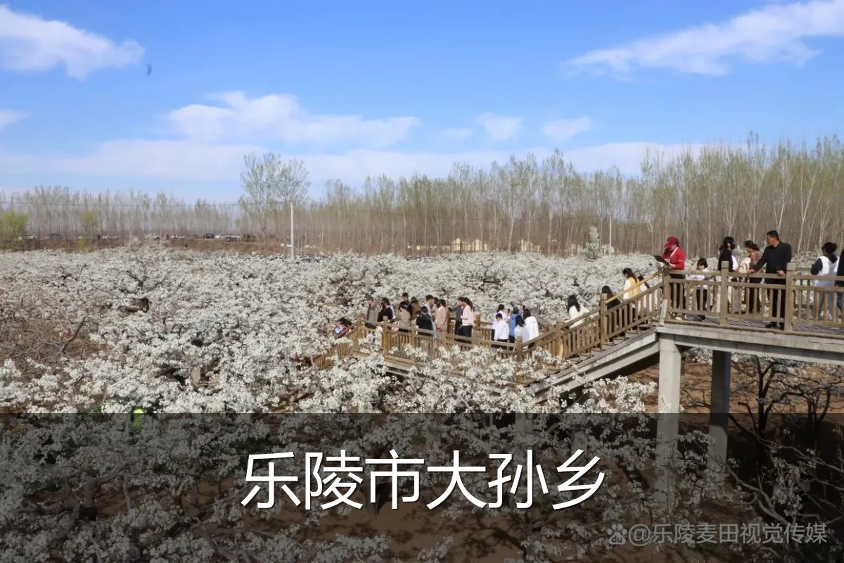 乐陵市大孙乡