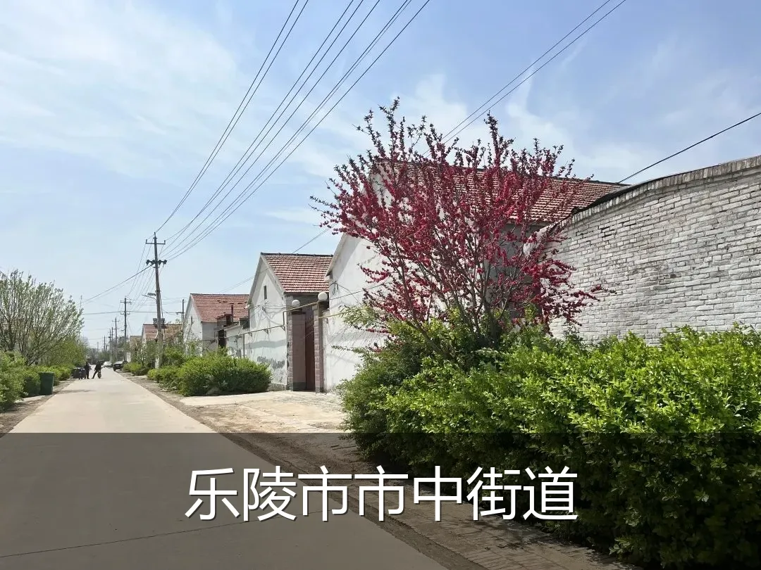 乐陵市市中街道