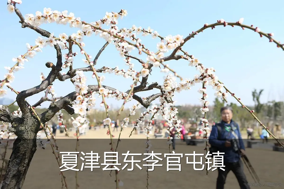 夏津县东李官屯镇