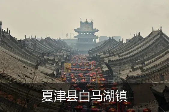 夏津县白马湖镇