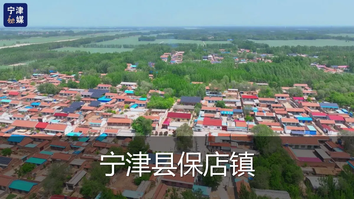 宁津县保店镇