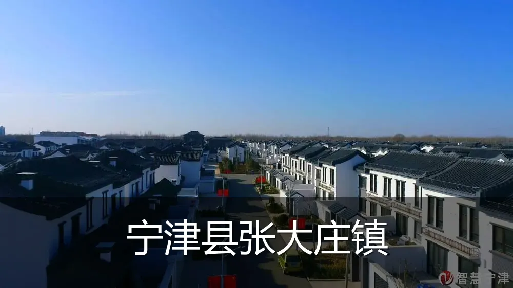 宁津县张大庄镇