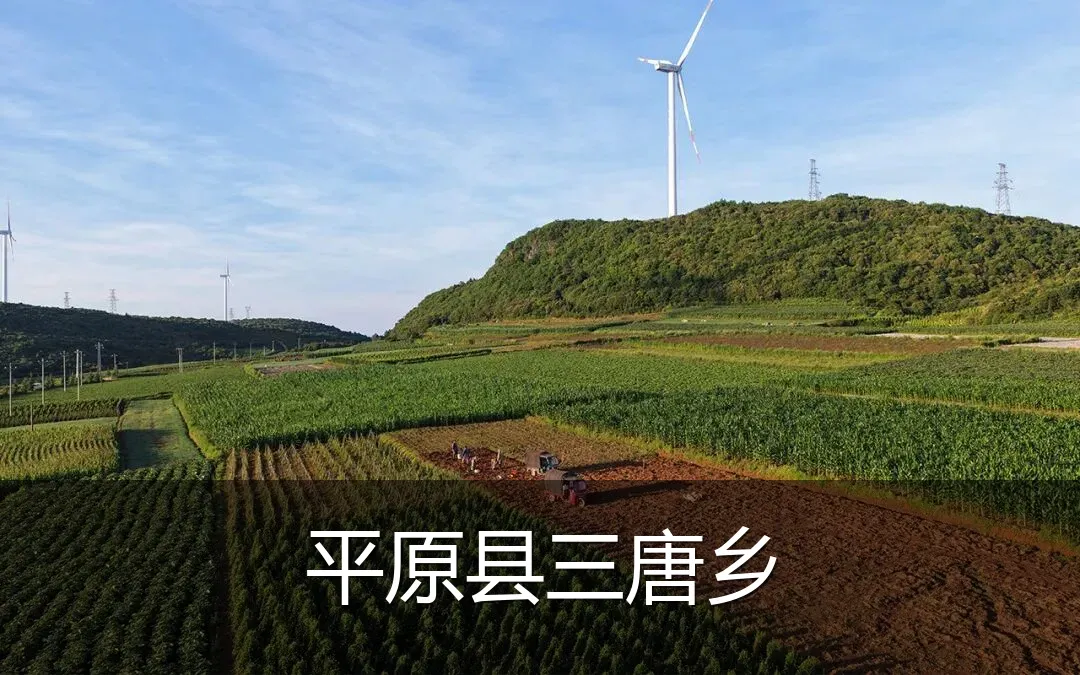 平原县三唐乡