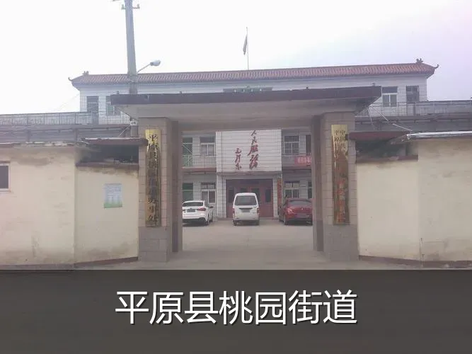 平原县桃园街道