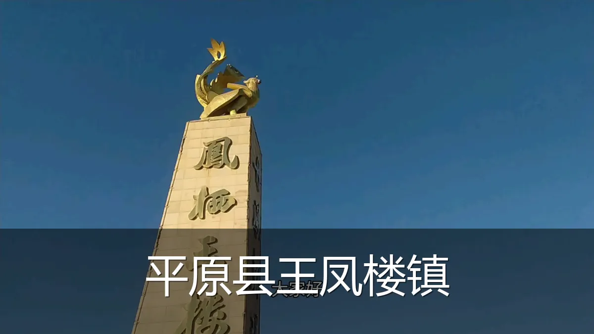 平原县王凤楼镇