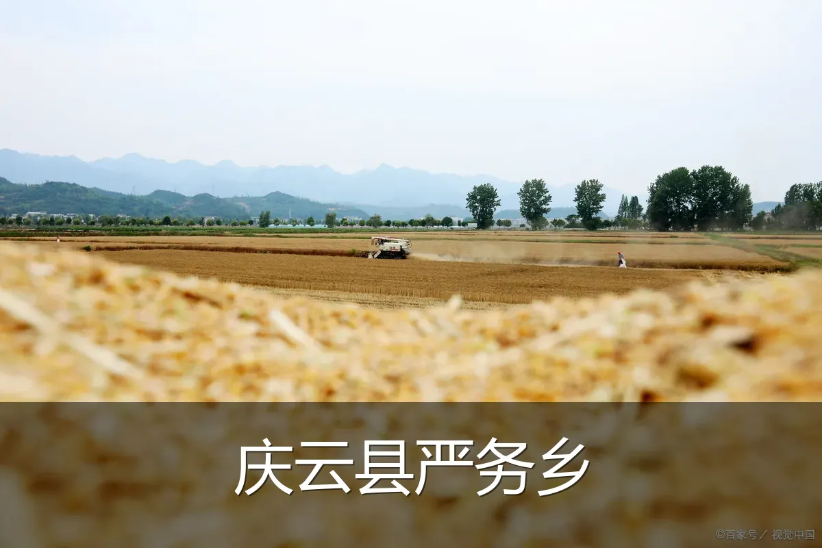 庆云县严务乡