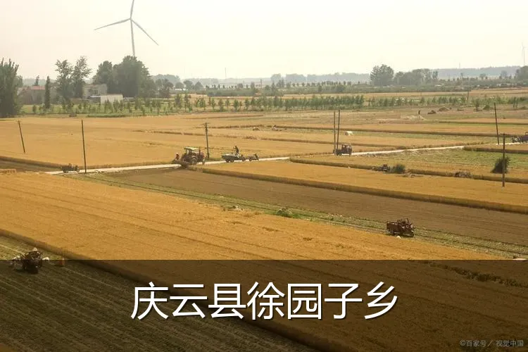 庆云县徐园子乡