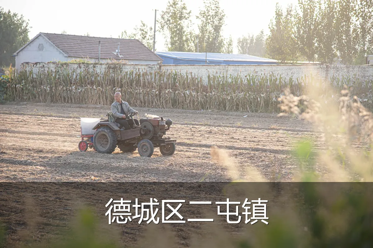 德城区二屯镇