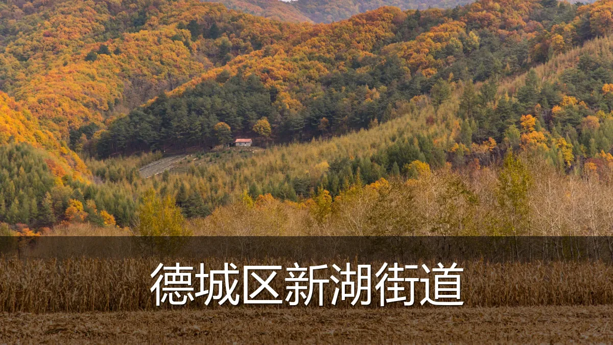 德城区新湖街道