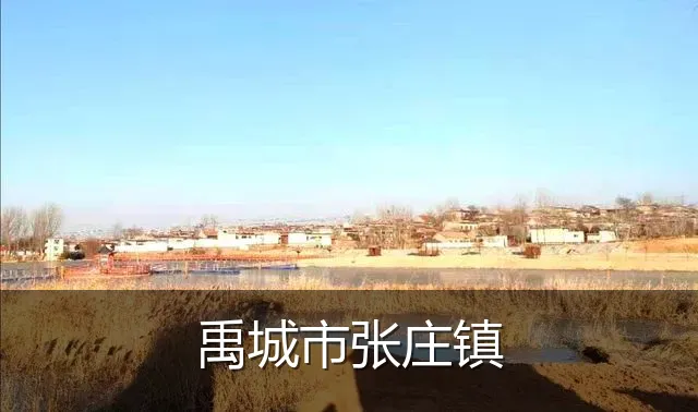 禹城市张庄镇