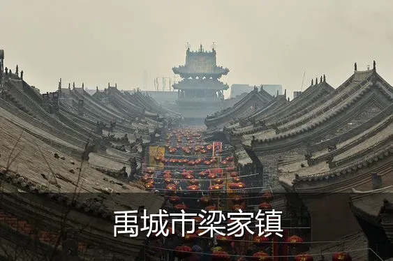 禹城市梁家镇