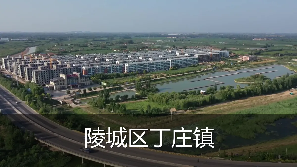 陵城区丁庄镇