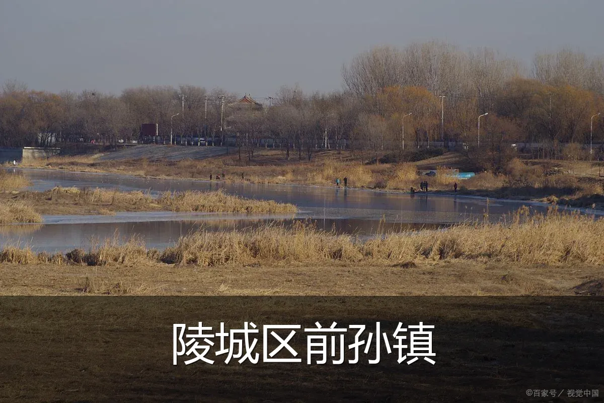 陵城区前孙镇