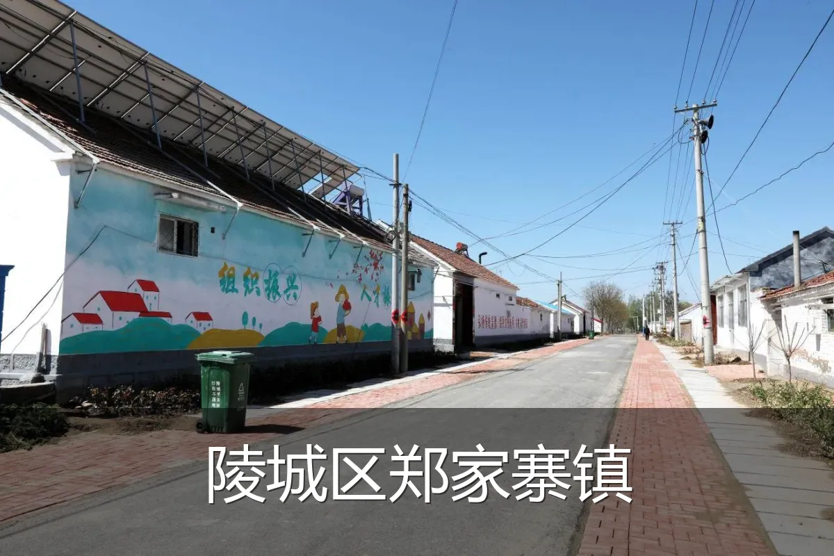 陵城区郑家寨镇