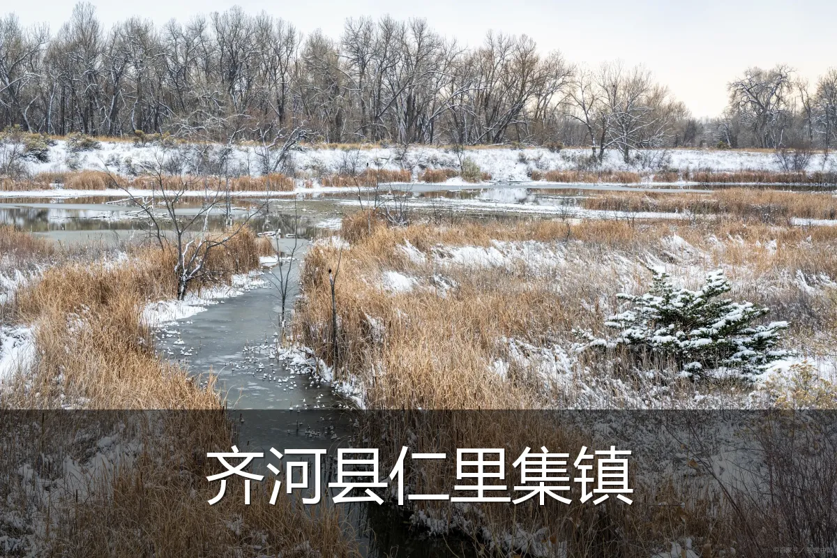齐河县仁里集镇