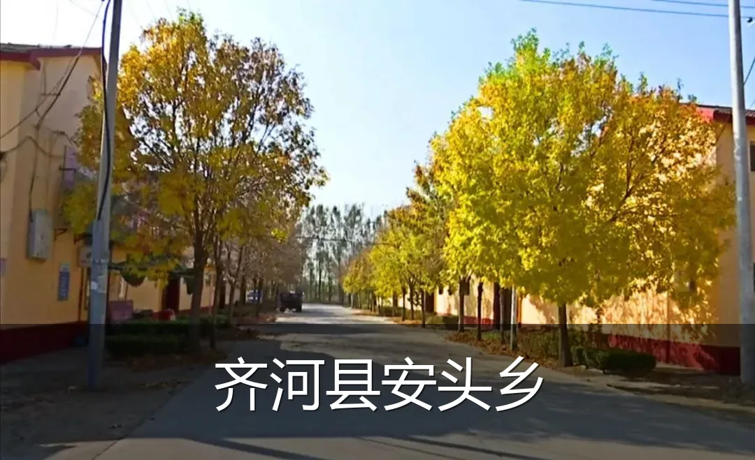 齐河县安头乡
