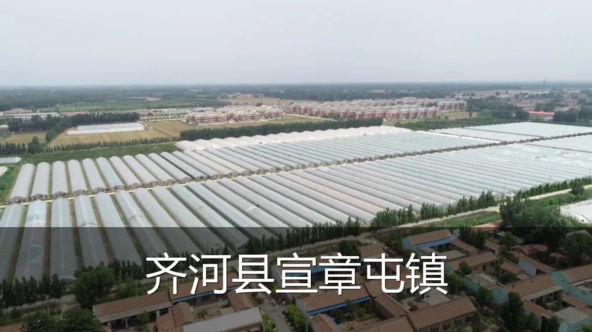 齐河县宣章屯镇