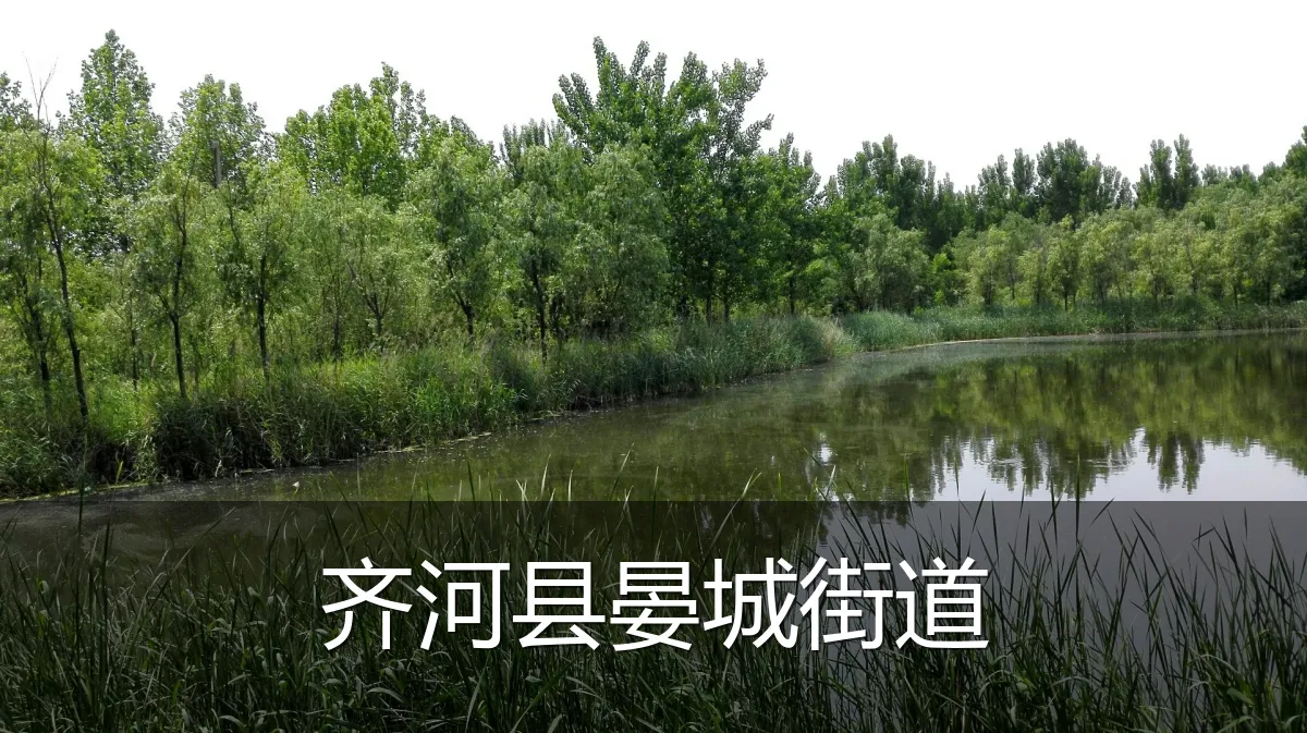 齐河县晏城街道